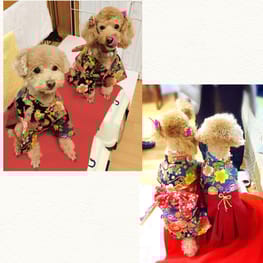 ココママさんの作品