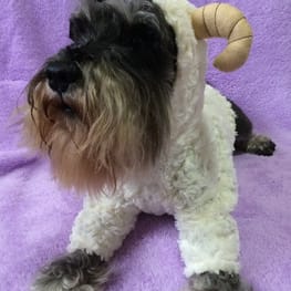 ひろ姉さんの作品