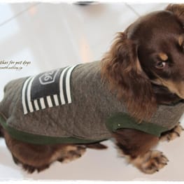 akizoo88さんの作品