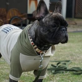 boom3tanさんの作品