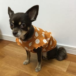 ゆずさんの作品