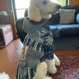 Chizukoさんの作品