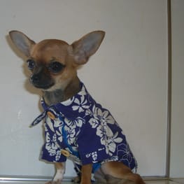 さちママさんの作品