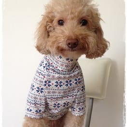 blancoさんの作品