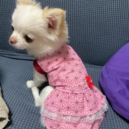 ぼすみんさんの作品