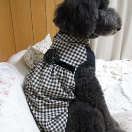 あかずきんさんの作品