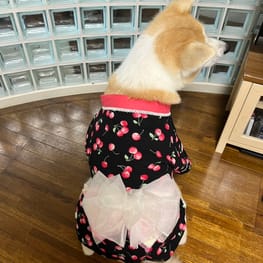 aya*ayaさんの作品