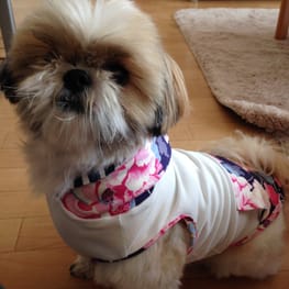 かよママさんの作品