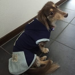 みにくろりんさんの作品