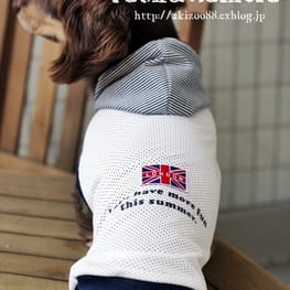 akizoo88さんの作品