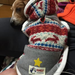 リサコマさんの作品