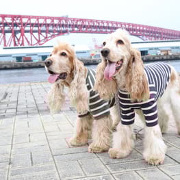 きまぐれなぬいぬい屋さんさんの作品