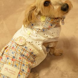 ひなはなさんの作品