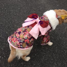 ゆきっぺさんの作品