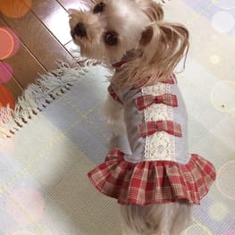 か〜ちゃさんの作品