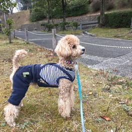 ミーナさんの作品