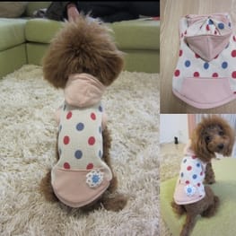 inainaさんの作品