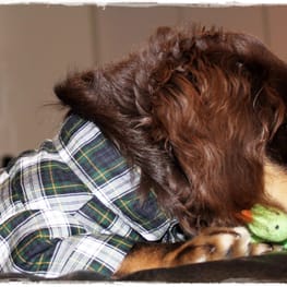 akizoo88さんの作品