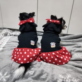 すずらんさんの作品