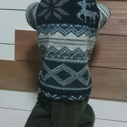 ちょここさんの作品