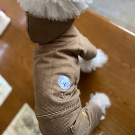 みちもこさんの作品