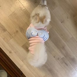 WKSchatzさんの作品