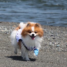 feelgoodさんの作品