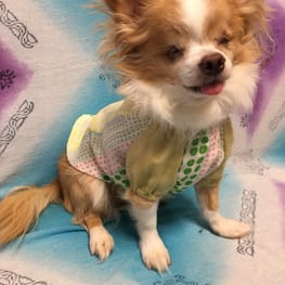 ronaelさんの作品