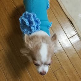 チョコベリーさんの作品