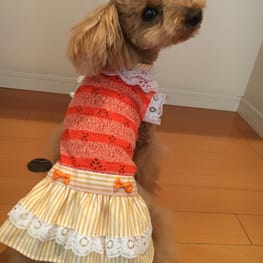 らくすさんの作品