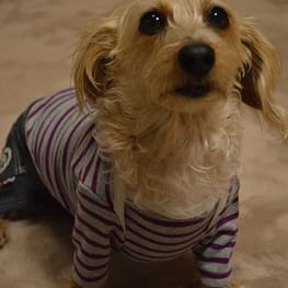 ひなはなさんの作品