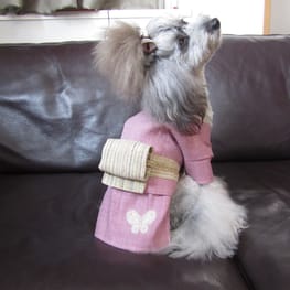 アテナさんの作品