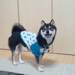 KOTAmamaさんの作品