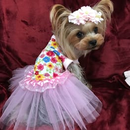 ティンクさんの作品