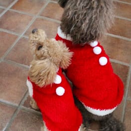 すずめさんの作品