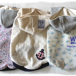 cocoonさんの作品