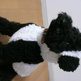 くろねこまめさんの作品