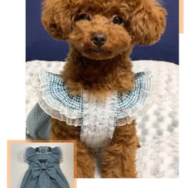 nuppy100さんの作品