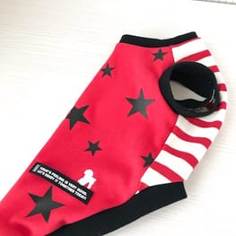 ちゃちゃさんの作品