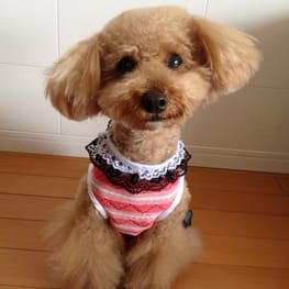 らくすさんの作品