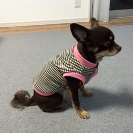 ゆずさんの作品