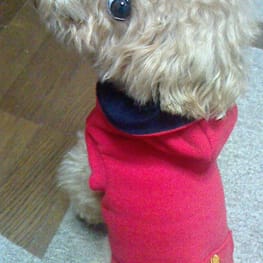 asukamamaさんの作品