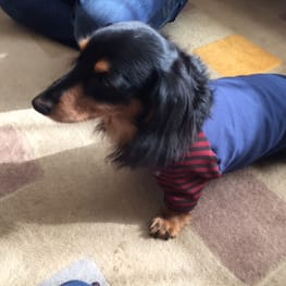 なんくるナイスさんの作品