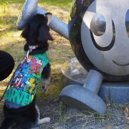 うらんさんの作品