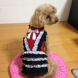 らくすさんの作品