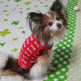 はるさんの作品