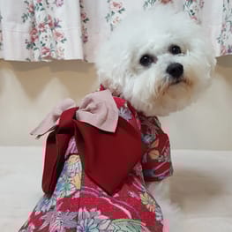 NANAKENさんの作品