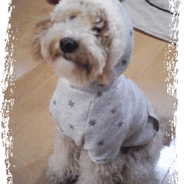 serikichi♪さんの作品