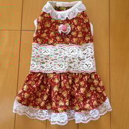 らくすさんの作品