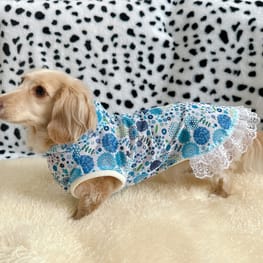 チーママさんの作品